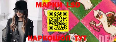 шишки Будённовск