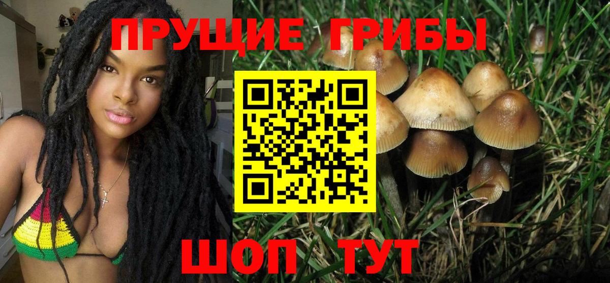 Шелехов  купить закладку  Вход с VPN  Галлюциногенные грибы GOLDEN TEACHER 