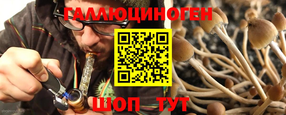 Псилоцибиновые грибы ЛСД Шелехов